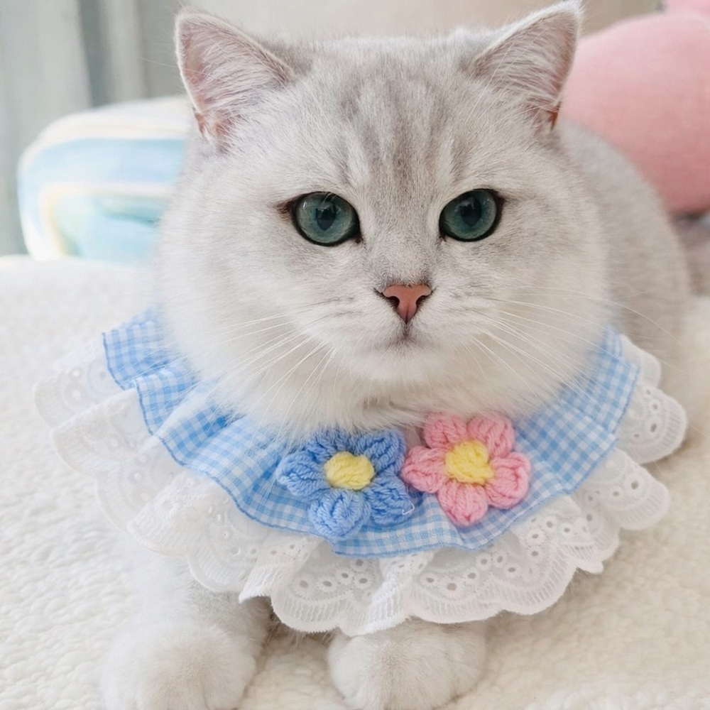 Blue and White Cat Collar with Floral Accents